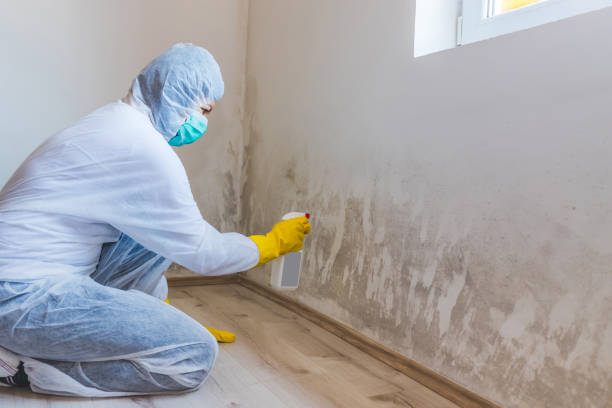 Licensed Crawl Space Mold Removal service in Milton, MA - WQB Mold Removal