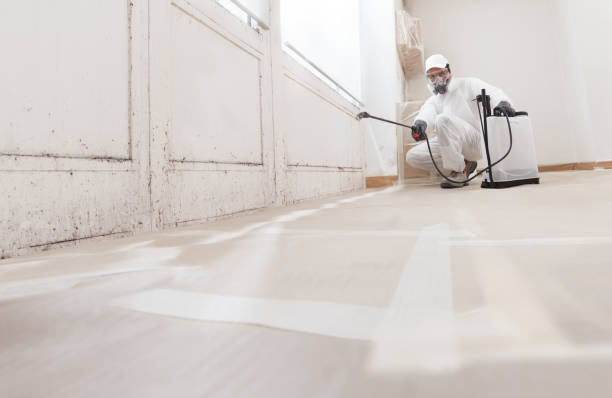 24/7 Emergency Crawl Space Mold Removal experts in Milton, MA