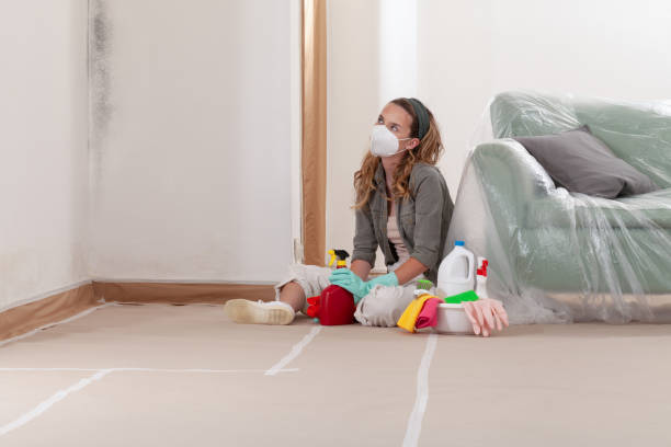 Reliable Crawl Space Mold Removal contractor in Milton, MA by WQB Mold Removal